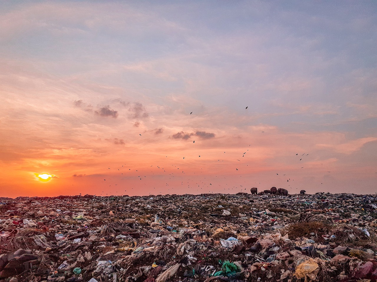 Evaluasi Pendataan Layanan Kesehatan: Kasus di Desa Tanjung Barat