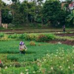 Peran Masyarakat dalam Pendataan Layanan Kesehatan di Tanjung Barat