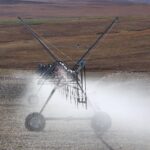 Inovasi Pembelajaran untuk Pemuda di Desa Tanjung Barat